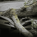 storm-damage-restoration-icon