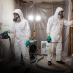 mold-remediation-card